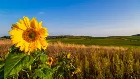 Październikowy wschód słońca nad jeziorem Kruklin - zdjęcie 41