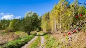 W poszukiwaniu jesieni na Mazurach - zdjęcie 9