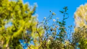 W poszukiwaniu jesieni na Mazurach - zdjęcie 14