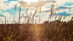 W poszukiwaniu jesieni na Mazurach - zdjęcie 38