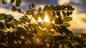 W poszukiwaniu jesieni na Mazurach - zdjęcie 61