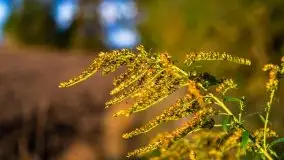 W poszukiwaniu jesieni na Mazurach - zdjęcie 41