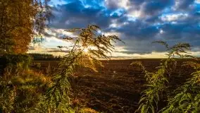 W poszukiwaniu jesieni na Mazurach - zdjęcie 52