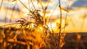 W poszukiwaniu jesieni na Mazurach - zdjęcie 3