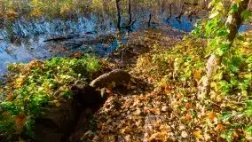 Piękna polska, mazurska złota jesień... rok temu - zdjęcie 6