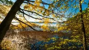 Piękna polska, mazurska złota jesień... rok temu - zdjęcie 2