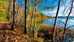 Piękna polska, mazurska złota jesień... rok temu - zdjęcie 18