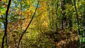 Jesień na mazurskich bezdrożach, 2019 - zdjęcie 24