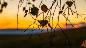 Wieczór i zachód słońca z mazurskiej drogi - zdjęcie 3