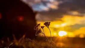 Zachód słońca nad mazurskimi polami, okolice wsi Sulimy - zdjęcie 12