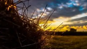 Zachód słońca nad mazurskimi polami, okolice wsi Sulimy - zdjęcie 20