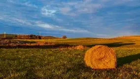 Zachód słońca nad mazurskimi polami, okolice wsi Sulimy - zdjęcie 11