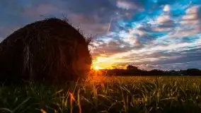 Zachód słońca nad mazurskimi polami, okolice wsi Sulimy - zdjęcie 22