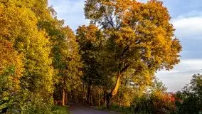 Wschód słońca, okolice i jezioro Kisajno, październik 2020 - zdjęcie 3