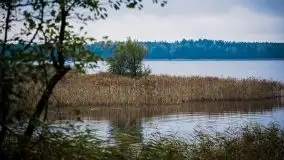 Jesień 2020 na zdjęciach Stanisława Sielewicza - zdjęcie 21