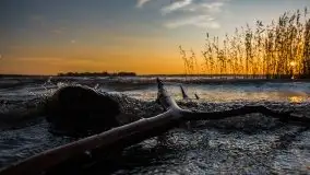 Jesień 2020 na zdjęciach Stanisława Sielewicza - zdjęcie 23