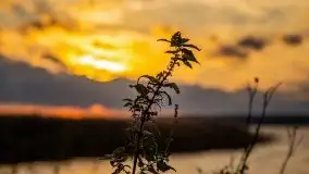 Zachód słońca nad jeziorem Kisajno - zdjęcie 2