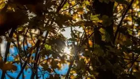 Mazurska jesień w okolicy Pieczarek i Przerwanek - zdjęcie 14