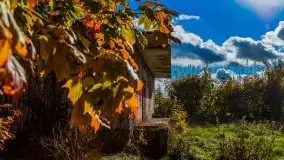 Mazurska jesień w okolicy Pieczarek i Przerwanek - zdjęcie 26