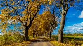 Mazurska jesień w okolicy Pieczarek i Przerwanek - zdjęcie 1