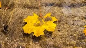 Mazurska jesień w okolicy Pieczarek i Przerwanek - zdjęcie 28