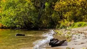 Mazurska jesień w okolicy Pieczarek i Przerwanek - zdjęcie 23