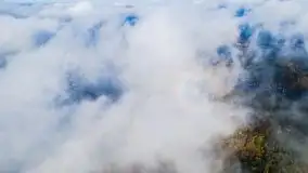 Mgły nad jeziorem Niegocin i Wilkasami - zdjęcie 10