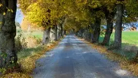 Mazury całe w barwach jesieni - zdjęcie 63