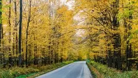 Mazury całe w barwach jesieni - zdjęcie 24