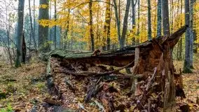 Mazury całe w barwach jesieni - zdjęcie 35