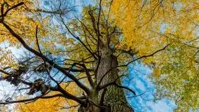 Mazury całe w barwach jesieni - zdjęcie 43