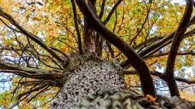 Mazury całe w barwach jesieni - zdjęcie 40