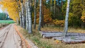 Mazury całe w barwach jesieni - zdjęcie 56