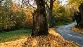 Jesiennie klimaty, Fuleda, Dziewiszewo, jezioro Dobskie - zdjęcie 5