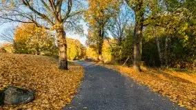 Jesiennie klimaty, Fuleda, Dziewiszewo, jezioro Dobskie - zdjęcie 40