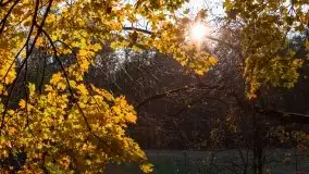 Jesiennie klimaty, Fuleda, Dziewiszewo, jezioro Dobskie - zdjęcie 48