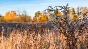 Jesiennie klimaty, Fuleda, Dziewiszewo, jezioro Dobskie - zdjęcie 38