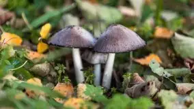 Jesiennie klimaty, Fuleda, Dziewiszewo, jezioro Dobskie - zdjęcie 54