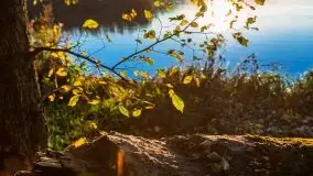 Zachód Słońca nad jeziorem Dobskim, listopad 2020 - zdjęcie 17