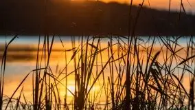 Zachód Słońca nad jeziorem Dobskim, listopad 2020 - zdjęcie 42