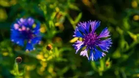 Zachód słońca niedaleko Lipowego Dworu - zdjęcie 2