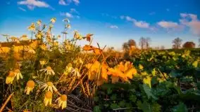 Zachód słońca niedaleko Lipowego Dworu - zdjęcie 16