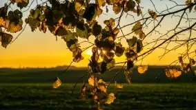 Zachód słońca niedaleko Lipowego Dworu - zdjęcie 14