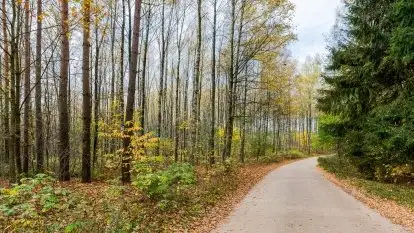 Późno jesienne klimaty gdy wieje i chłód doskwiera przy jeziorze Dargin