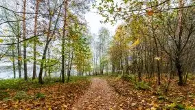 Późno jesienne klimaty gdy wieje i chłód doskwiera przy jeziorze Dargin - zdjęcie 4