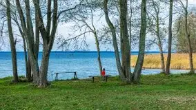 Późno jesienne klimaty gdy wieje i chłód doskwiera przy jeziorze Dargin - zdjęcie 12