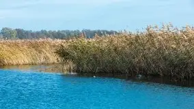 Późno jesienne klimaty gdy wieje i chłód doskwiera przy jeziorze Dargin - zdjęcie 28