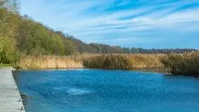 Późno jesienne klimaty gdy wieje i chłód doskwiera przy jeziorze Dargin - zdjęcie 29