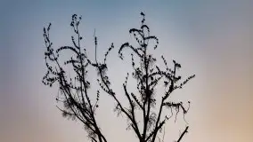 Zwierzęta złapane na Mazurach na początku 2020 roku - zdjęcie 2