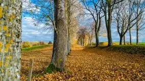 Piękna mazurska złota jesień, listopad 2019 - zdjęcie 23